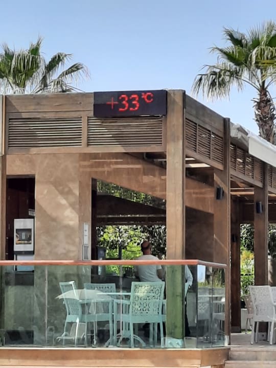 Gastro Sentido Trendy Verbena Beach