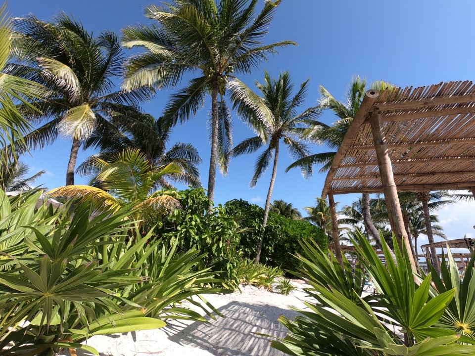 Strand Akumal Bay Beach & Wellness Resort