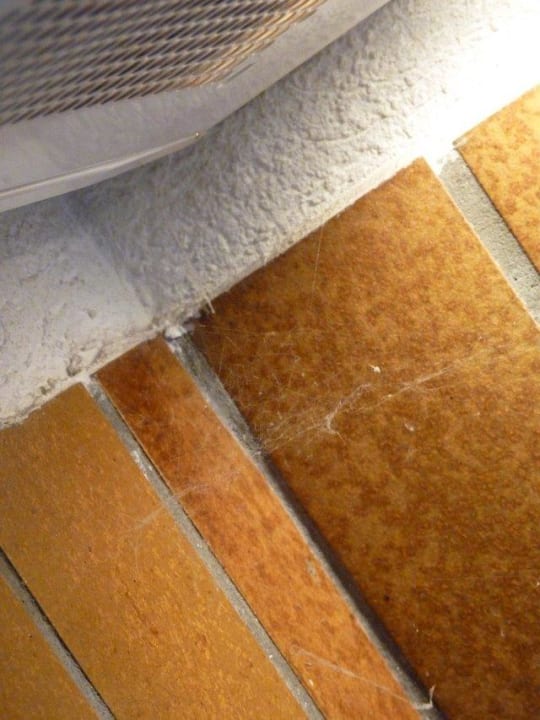 Spinnenweben Appartements Ferienland Sonnenwald