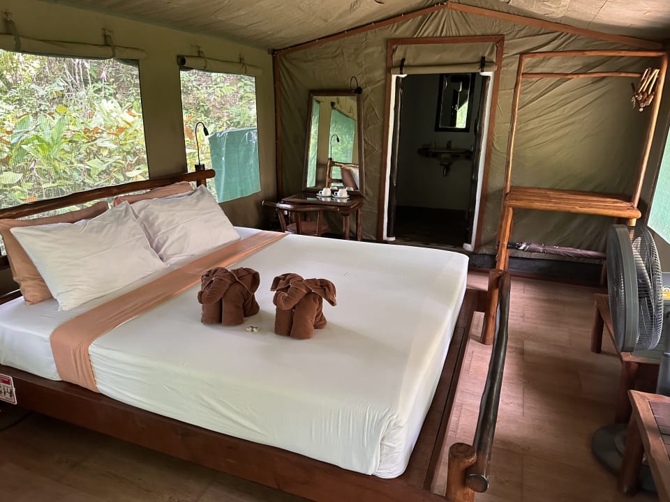 Zimmer Elephant Hills