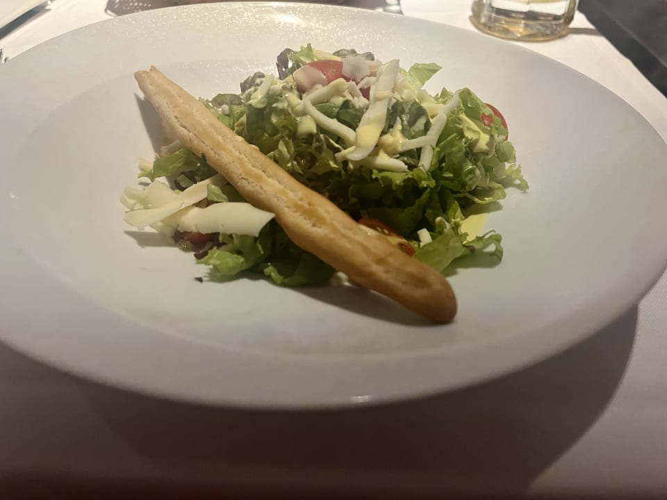 Gastro Viva V Samana by Wyndham – Adults Only