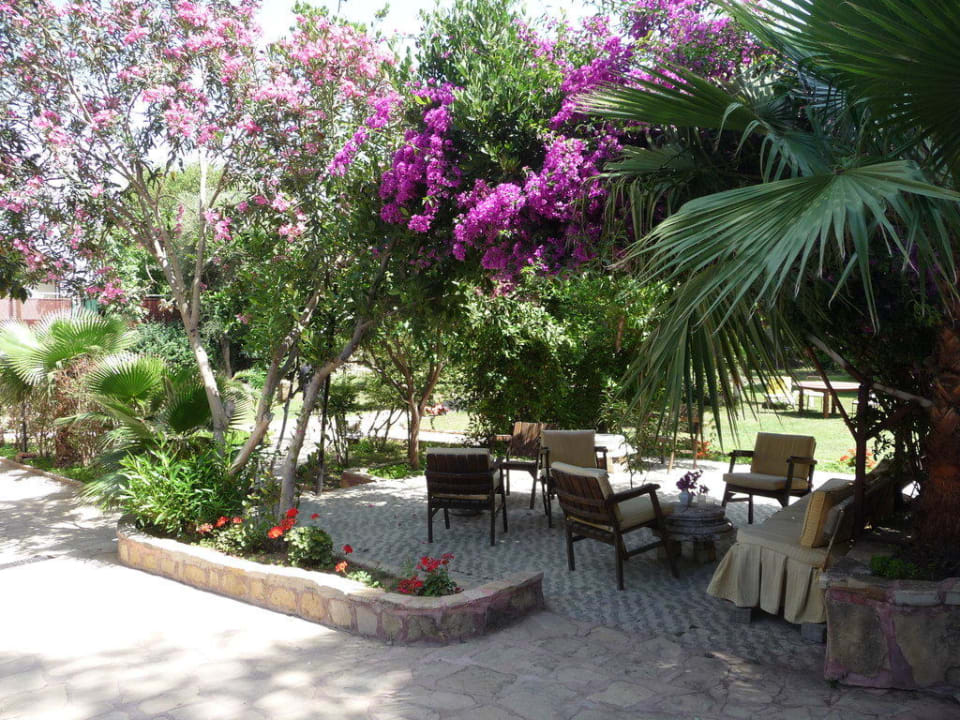 Schattiger Platz im Garten Hotel Neptün/Neptun