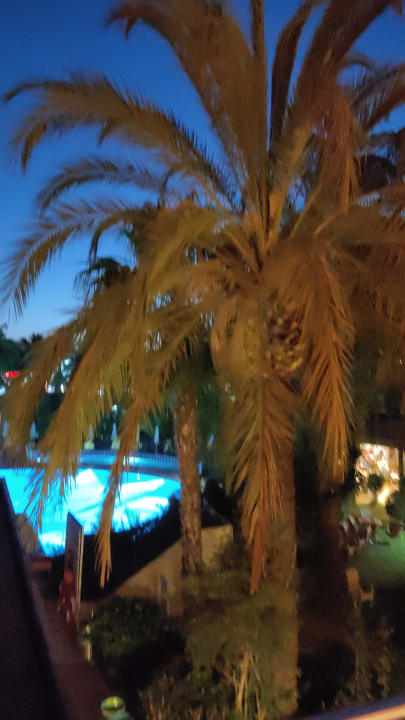 Pool Calimera Hane Garden