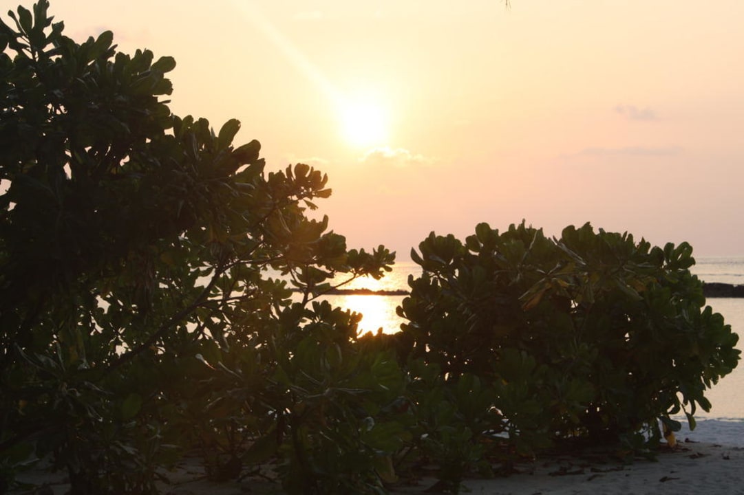 Sonnenuntergang Kuredu Island Resort & Spa