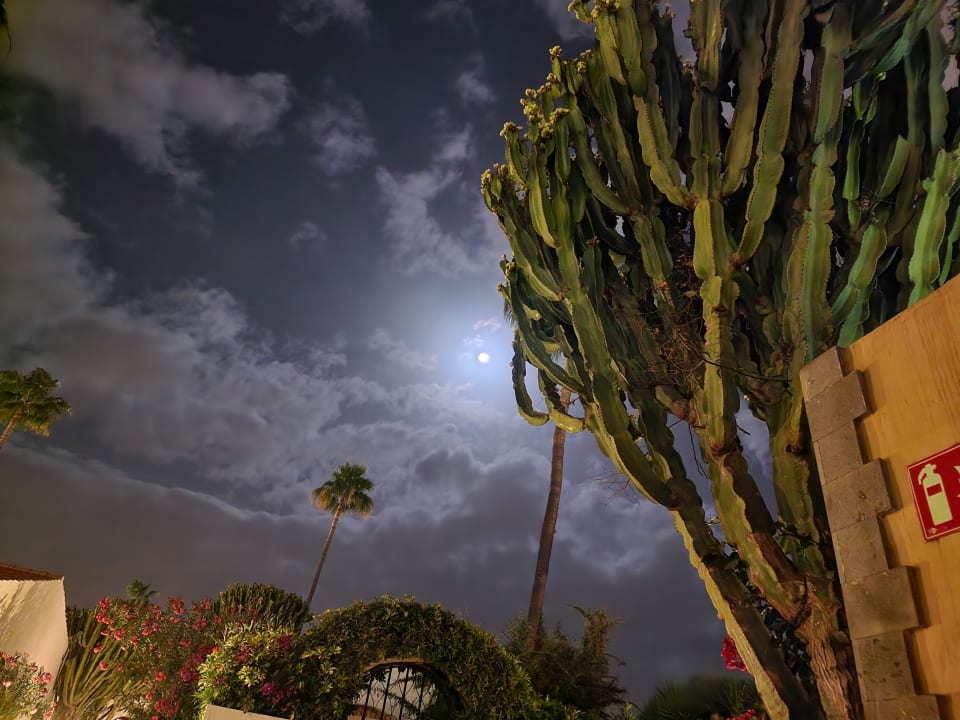 Ausblick HL Miraflor Suites Hotel