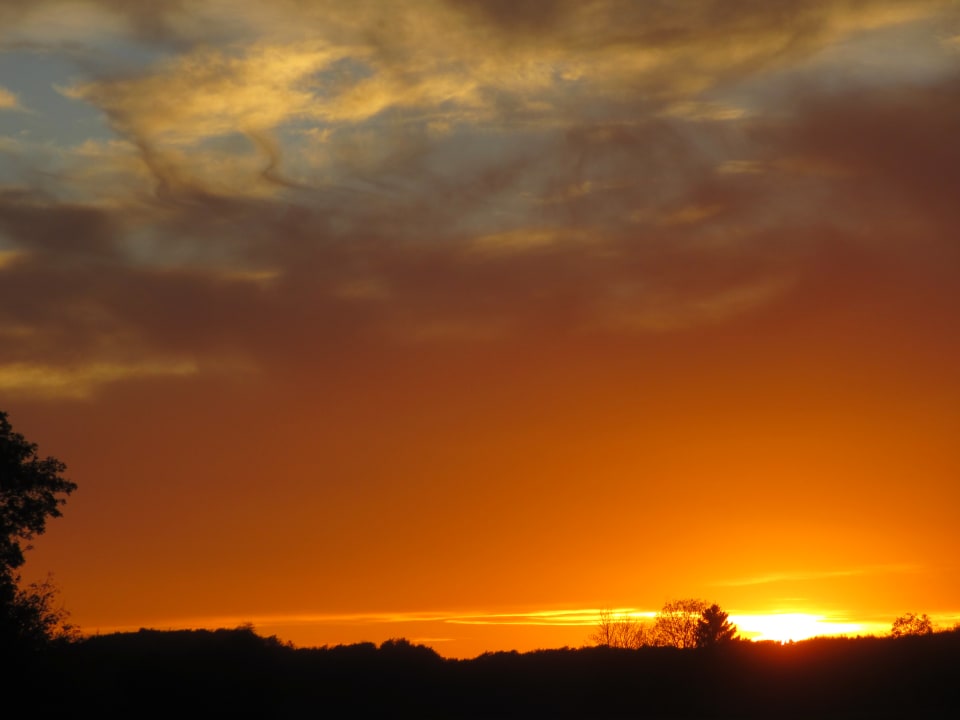 Sonstiges Ferienhof Feinen