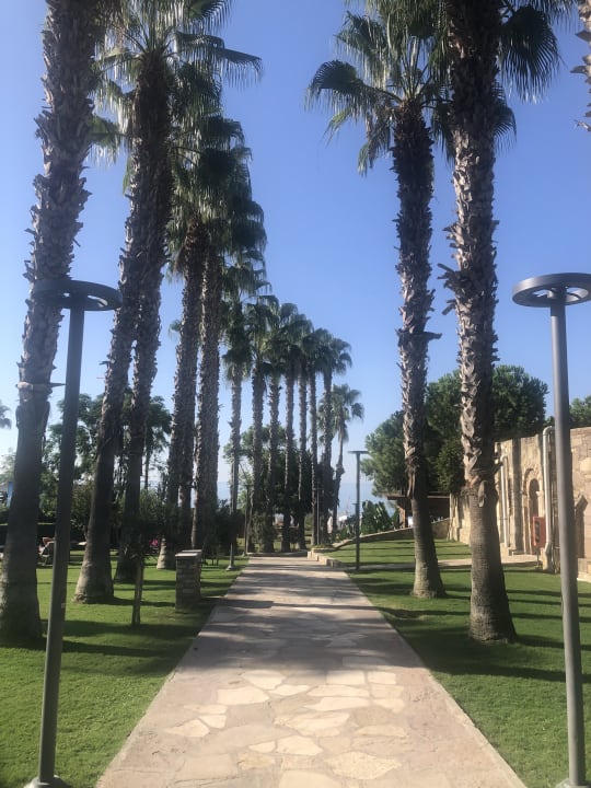 Gartenanlage Arum Barut Collection