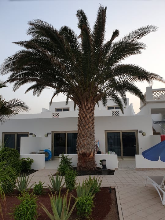 Außenansicht Hotel Las Costas