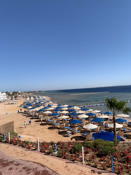 Strand Pickalbatros Palace Resort