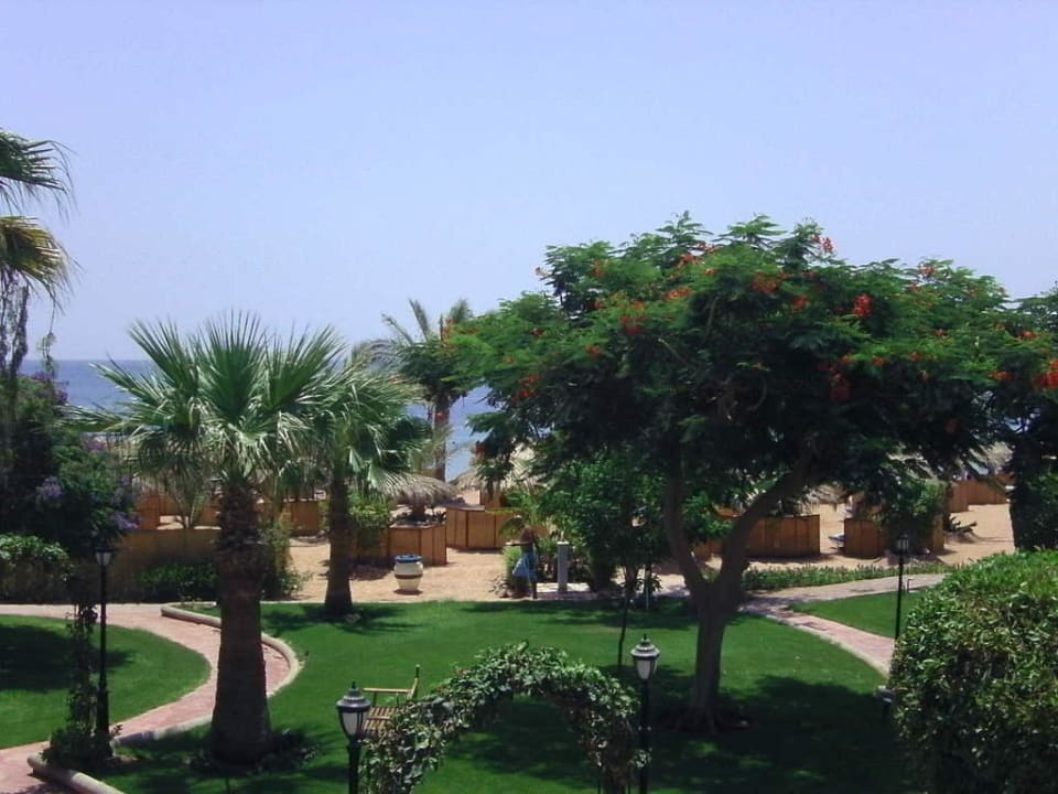 Ausblick vom Zimmer Swiss Inn Resort Dahab