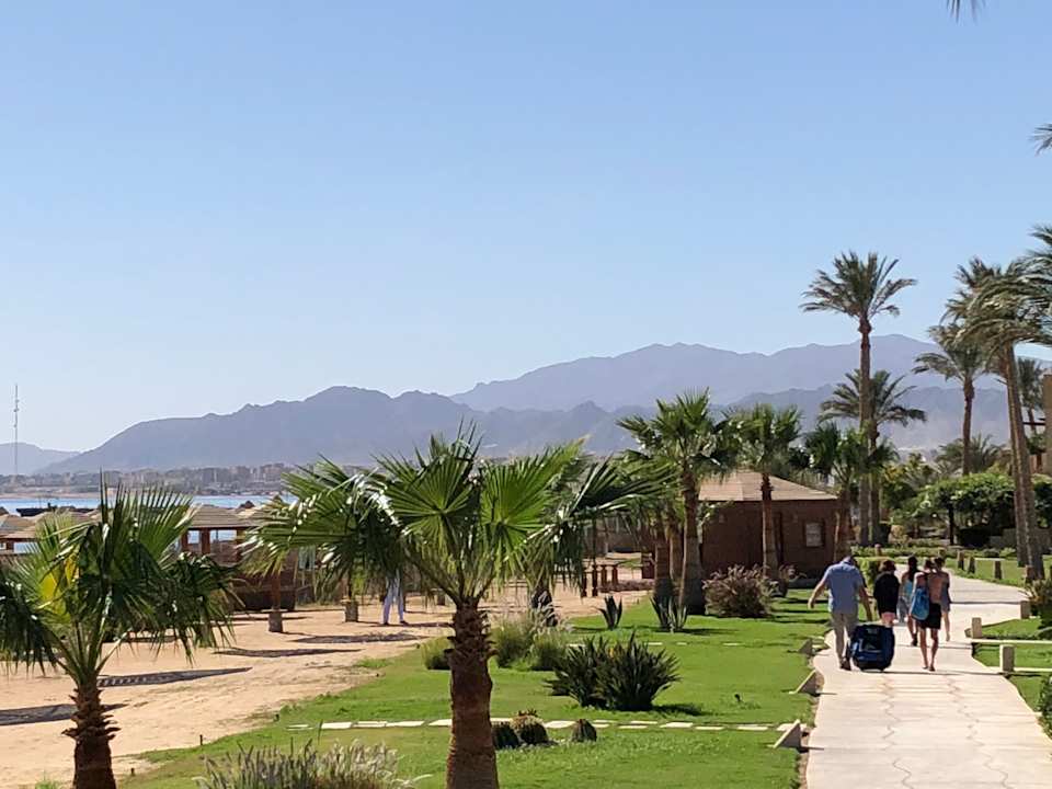 Ausblick Shams Prestige Abu Soma-Adults Only