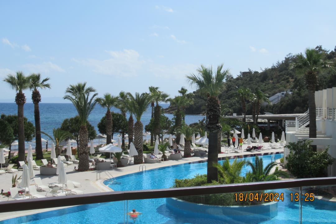 Ausblick Paloma Pasha