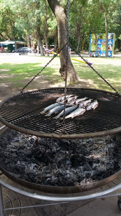 Gastro Hotel Borjana