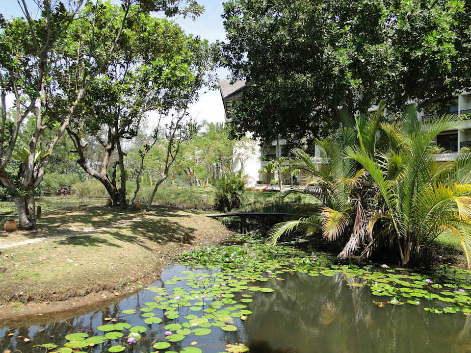 Hotel Nexus Resort Karambunai Hotel Nexus Resort Karambunai