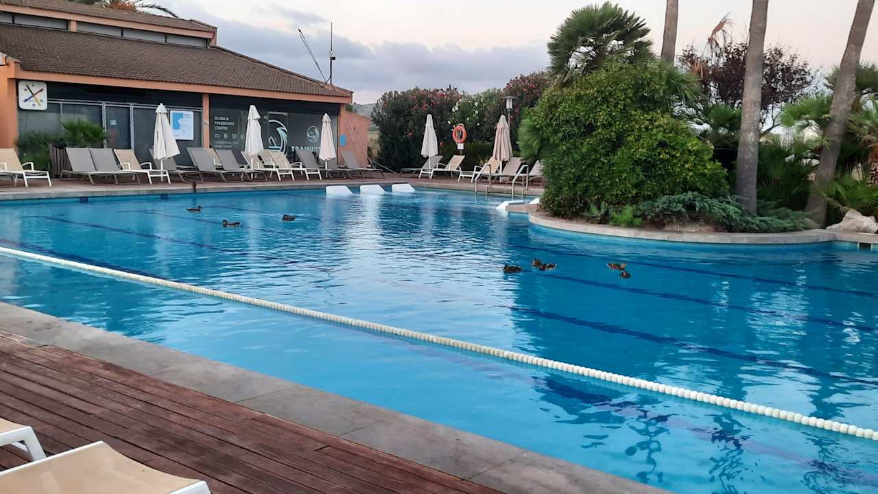 Pool PortBlue Club Pollentia Resort & Spa