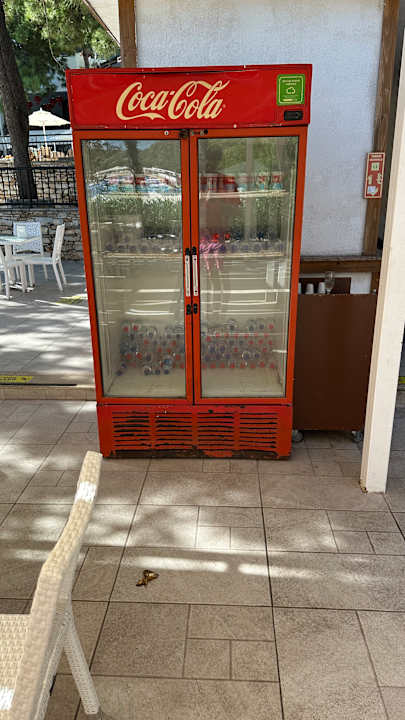 Gastro Bodrum Park Resort