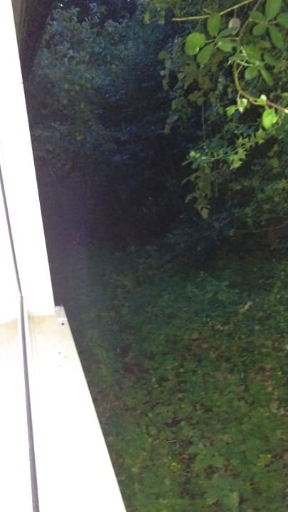 Natur pur Haus Carola