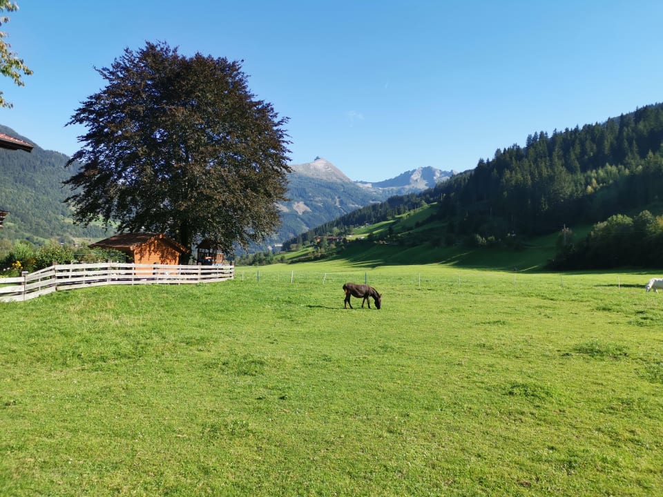 Ausblick Comfort-Farm Zittrauerhof