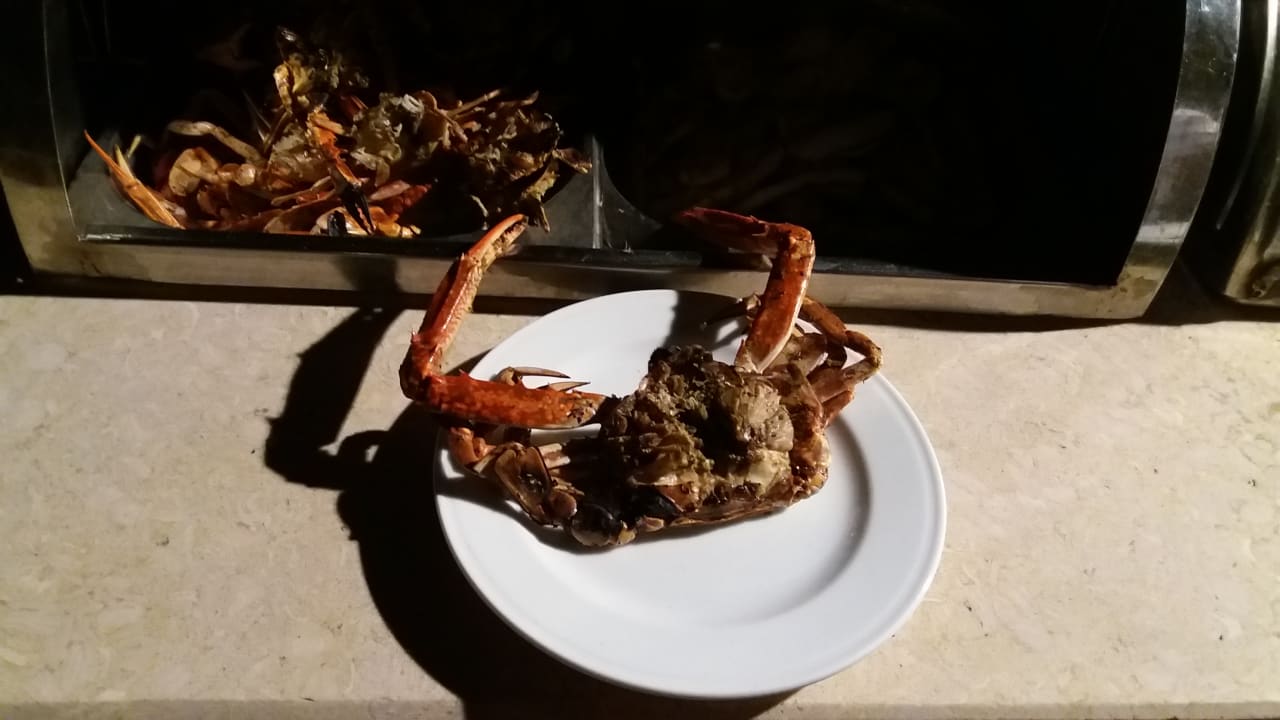 Gastro Jaz Makadi Oasis Resort