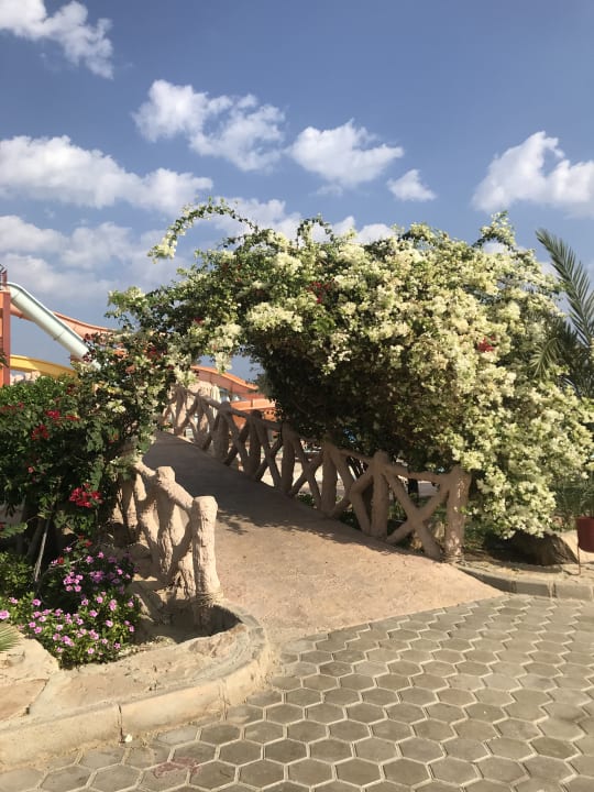 Gartenanlage Three Corners Happy Life Beach Resort