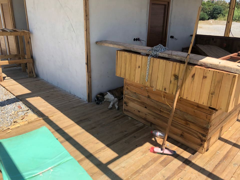 Sonstiges Greenlife Hotel