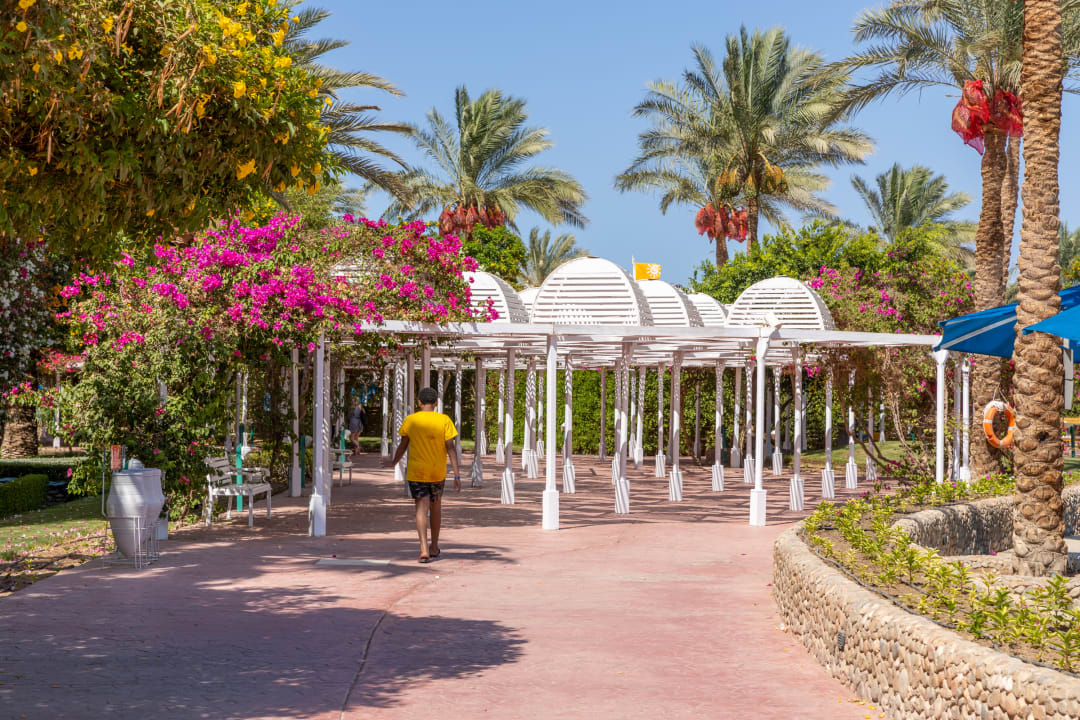 Gartenanlage Desert Rose