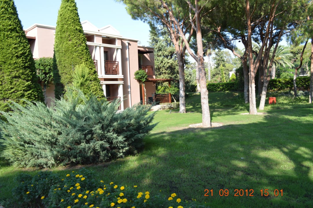 Ogród TUI Magic Life Belek