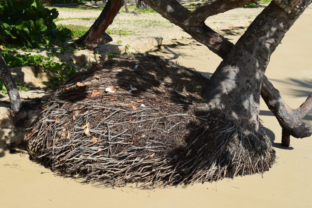Strand Bahia Principe Grand El Portillo