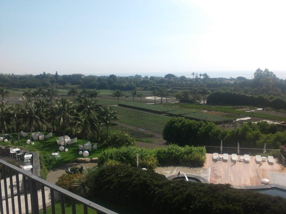 Terrassen und Gärtnerei Hotel Donna Carmela