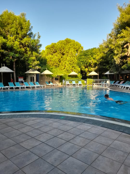 Pool Can Garden Beach