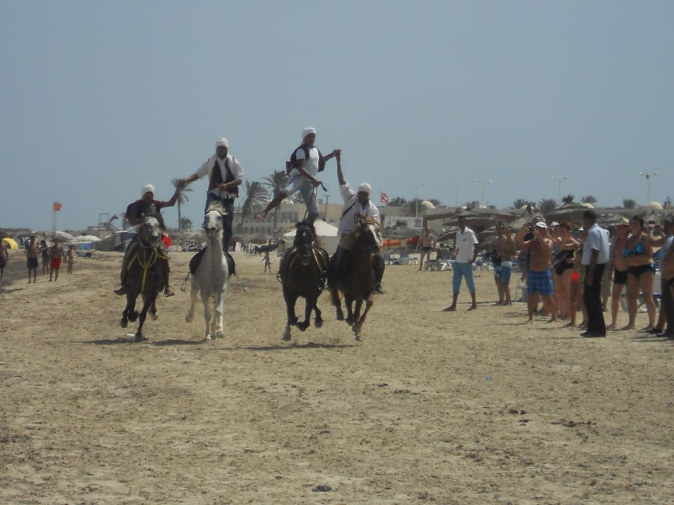 Reiterspiele am Strand Hotel Seabel Rym Beach Djerba