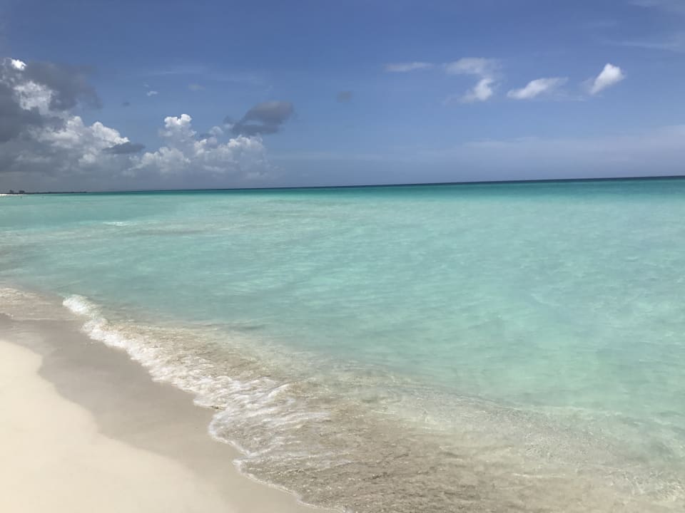 Strand Starfish Cuatro Palmas