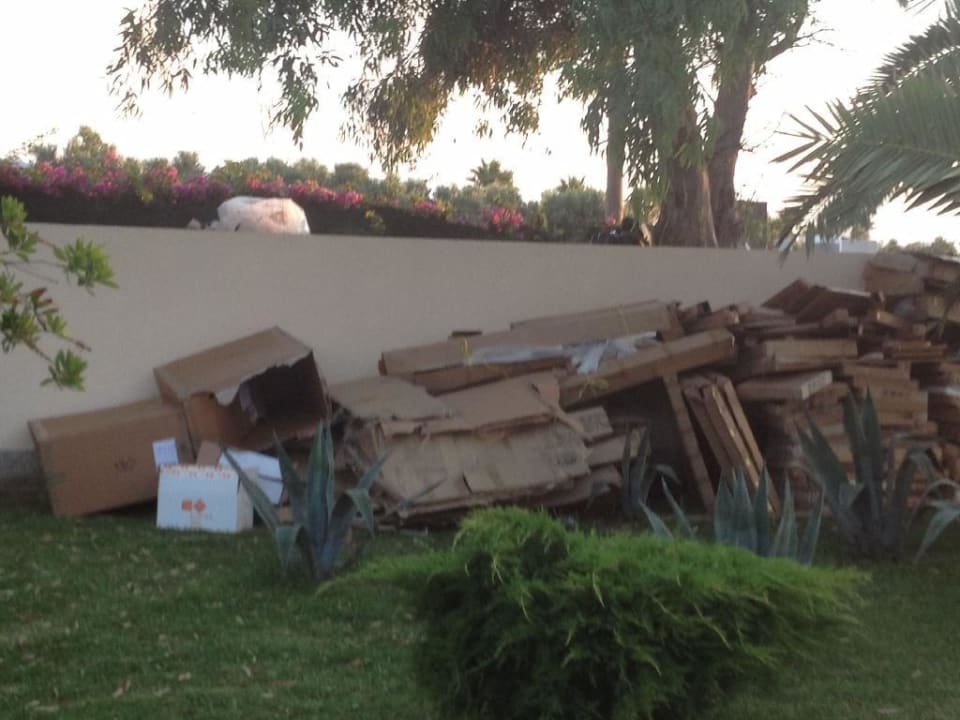 Kartonburg BV Borgo del Principe