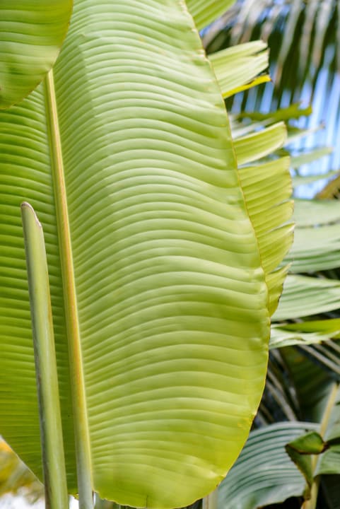 Gartenanlage Friday Attitude