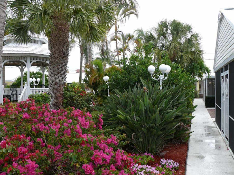 Garten des Lemon Tree Hotel Lemon Tree Inn