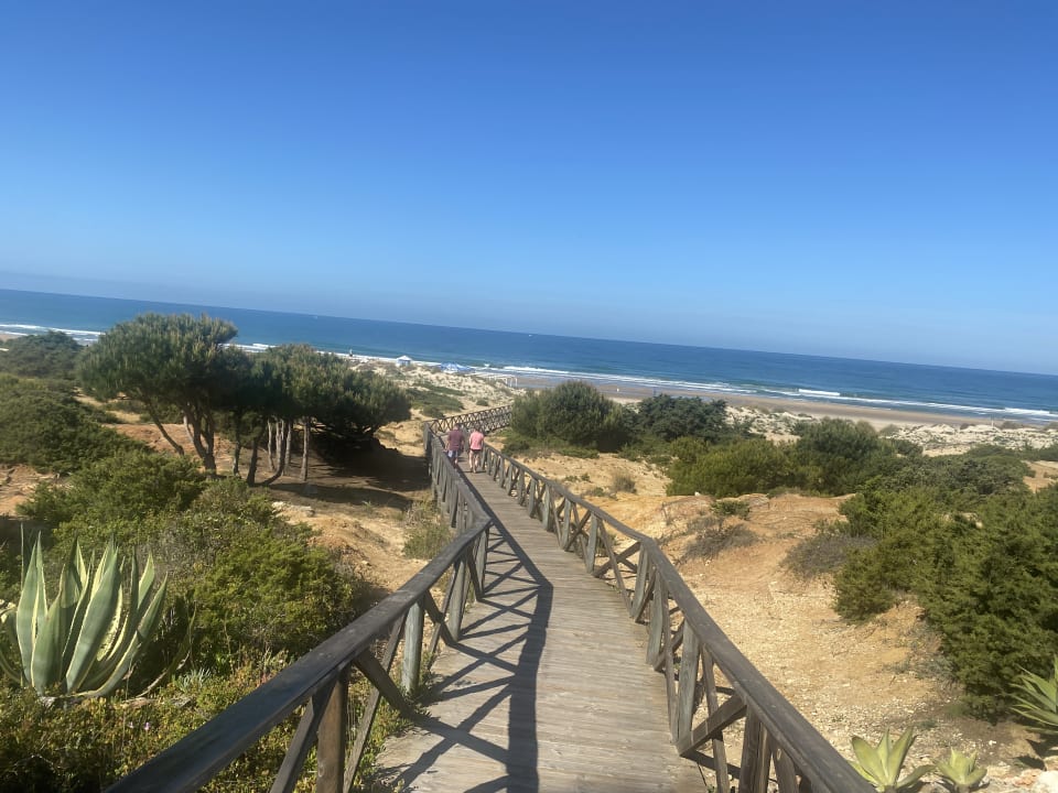 Ausblick Iberostar Waves Royal Andalus