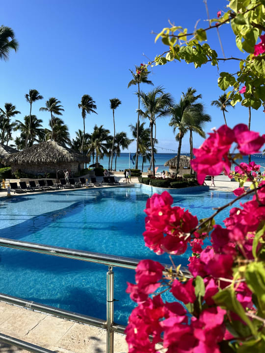 Pool Hotel Viva Dominicus Beach by Wyndham - All Inclusive Resort