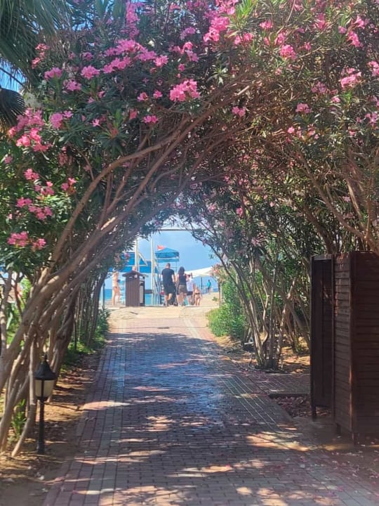 Ausblick Seaden Sea World Resort & Spa