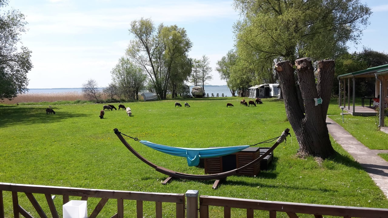 Blick von der FeWo-Terrasse Ferienresort Möwenort
