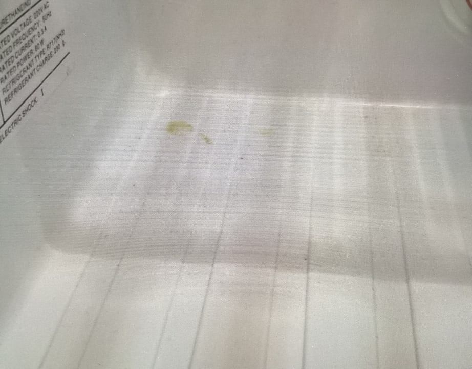 Zimmer allsun Hotel Bella Paguera