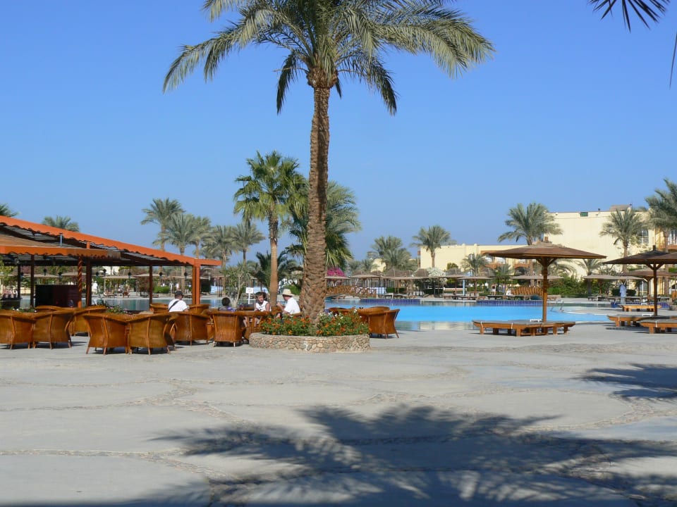 Basen przy hotelu Desert Rose