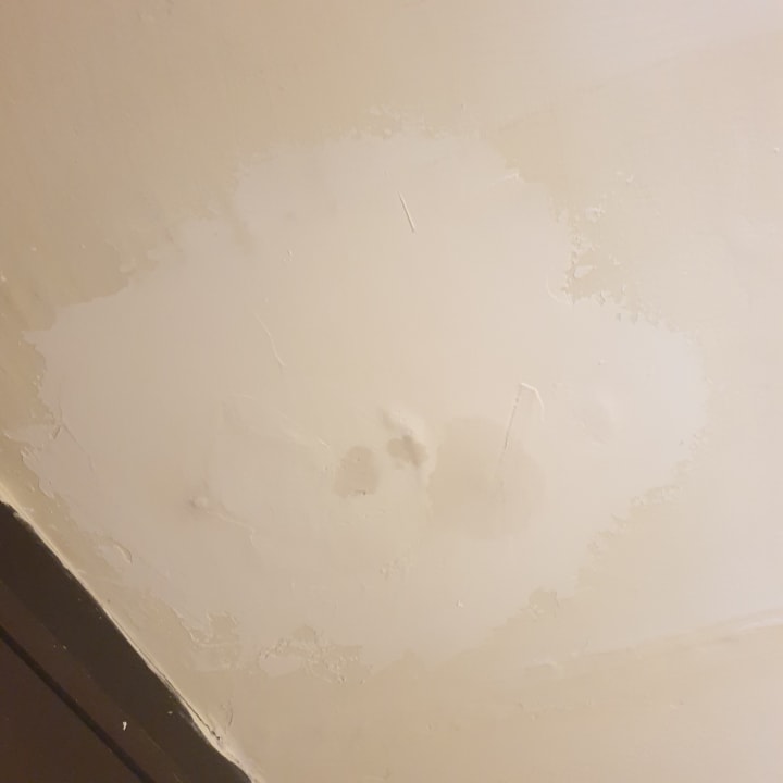 Zimmer Akumal Bay Beach & Wellness Resort