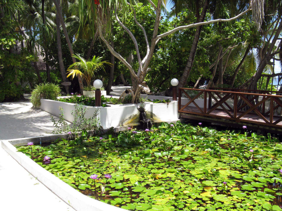 Gartenanlage Angaga Island Resort