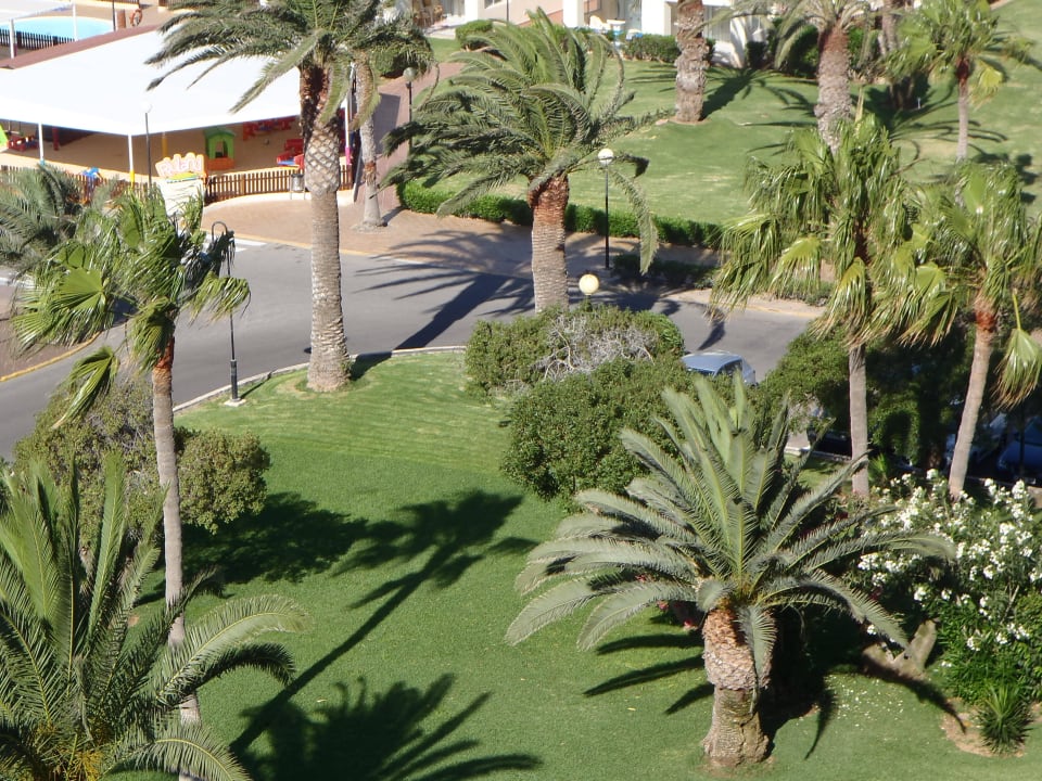 Eingangsbereich Hotel Riu Oliva Beach - Hotel