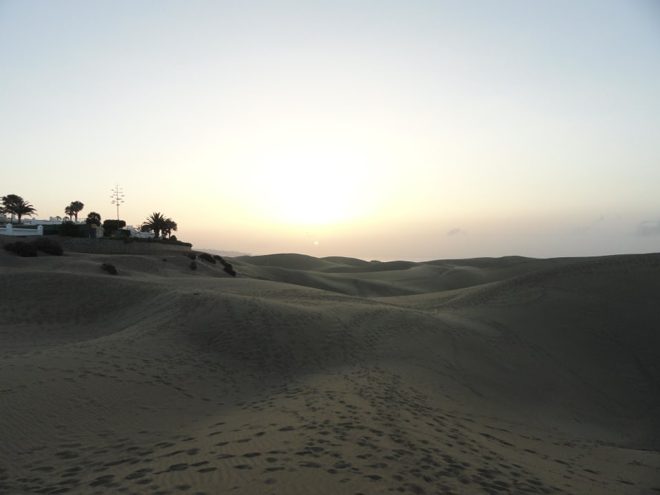 Hotel Riu Palace Maspalomas direkt an den Dünen Hotel Riu Palace Maspalomas Adults Only