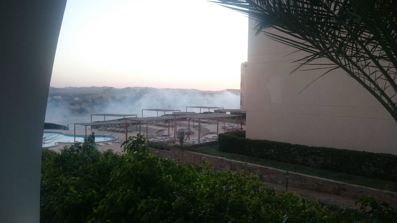 Allabendliche Ausräucherung von Insekten Three Corners Equinox Beach Resort