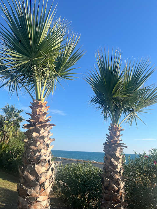 Strand allsun Numa Club Side