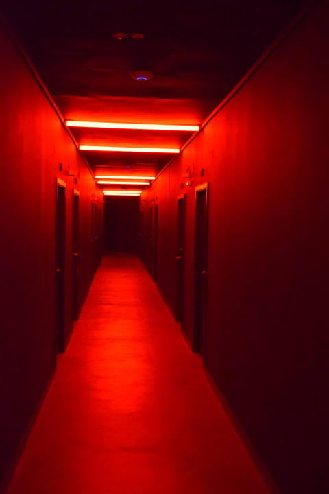 Sonstiges Cook's Club Sunny Beach