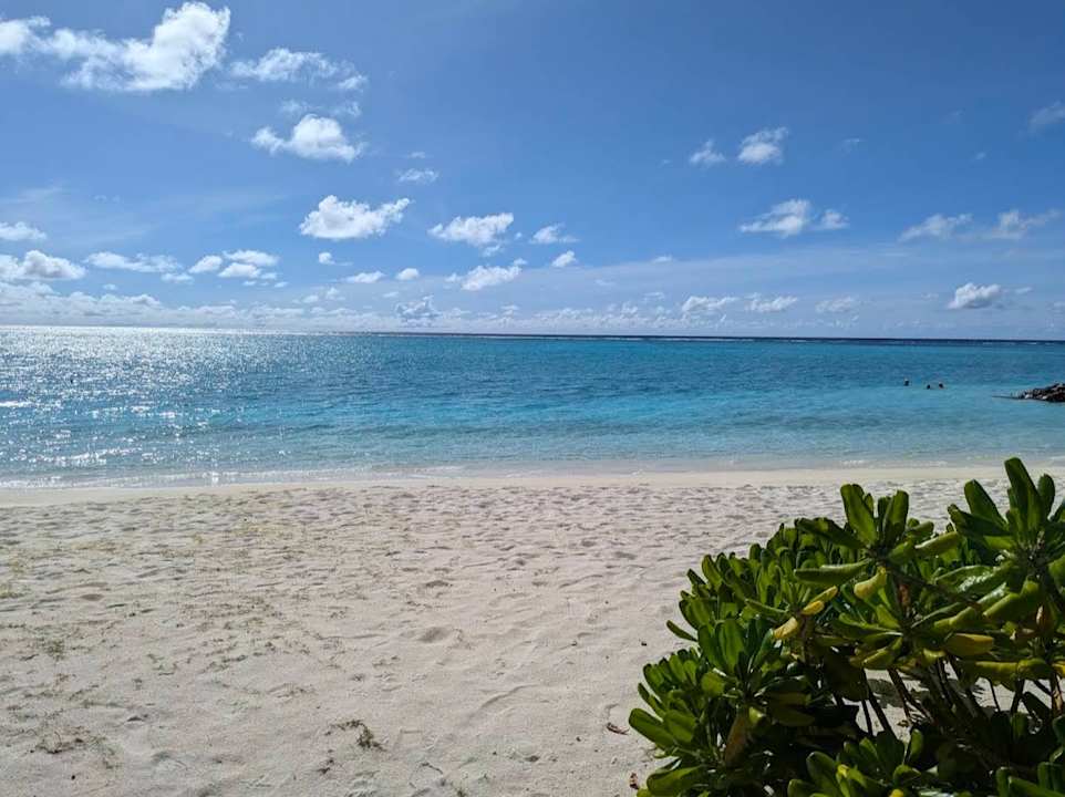 Strand Summer Island Maldives