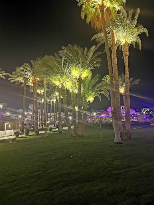 Gartenanlage Beach Albatros Resort
